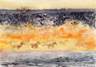 Bild Eine Herde galoppierender Zebras im Sonnenuntergang von Uli Aschenborn